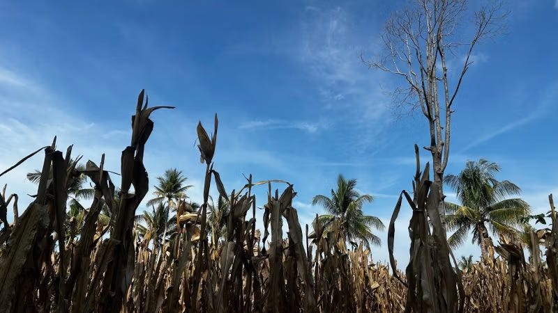 The Most Socialist System in America Is the One Feeding Us—and It’s Failing The Most Socialist System in America Is the One Feeding Us—and It’s Failing