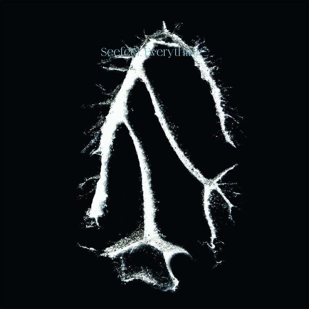Seefeel - Everything Squared (Warp Records) - Bleep - Your Source for  Independent and Innovative Music - Buy Vinyl and CD, Download MP3,  WAV/FLAC, 24bit WAV and Buy Merchandise