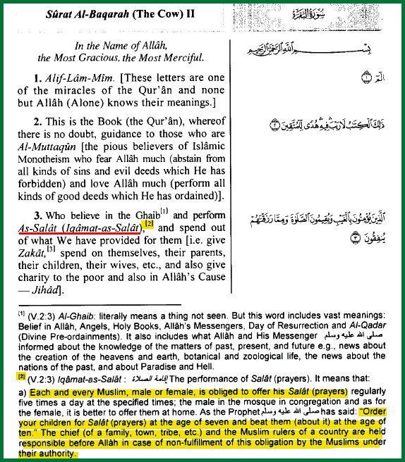Screenshot Koran 2:3 + commentary