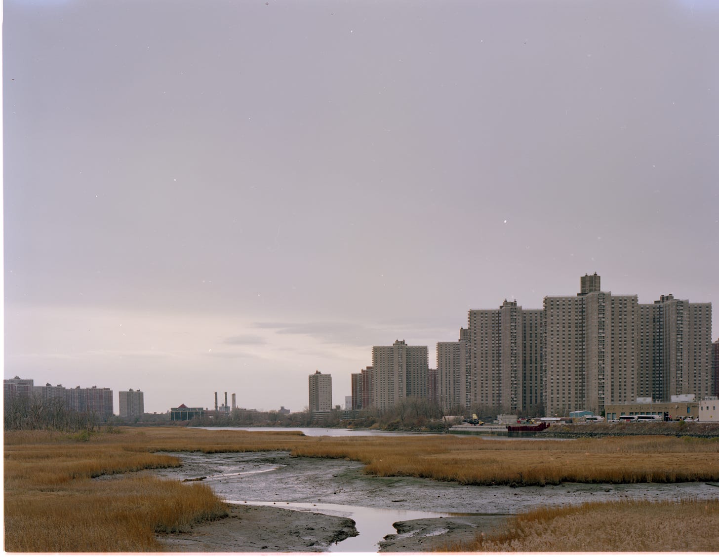 Co-op city with marsh in foreground