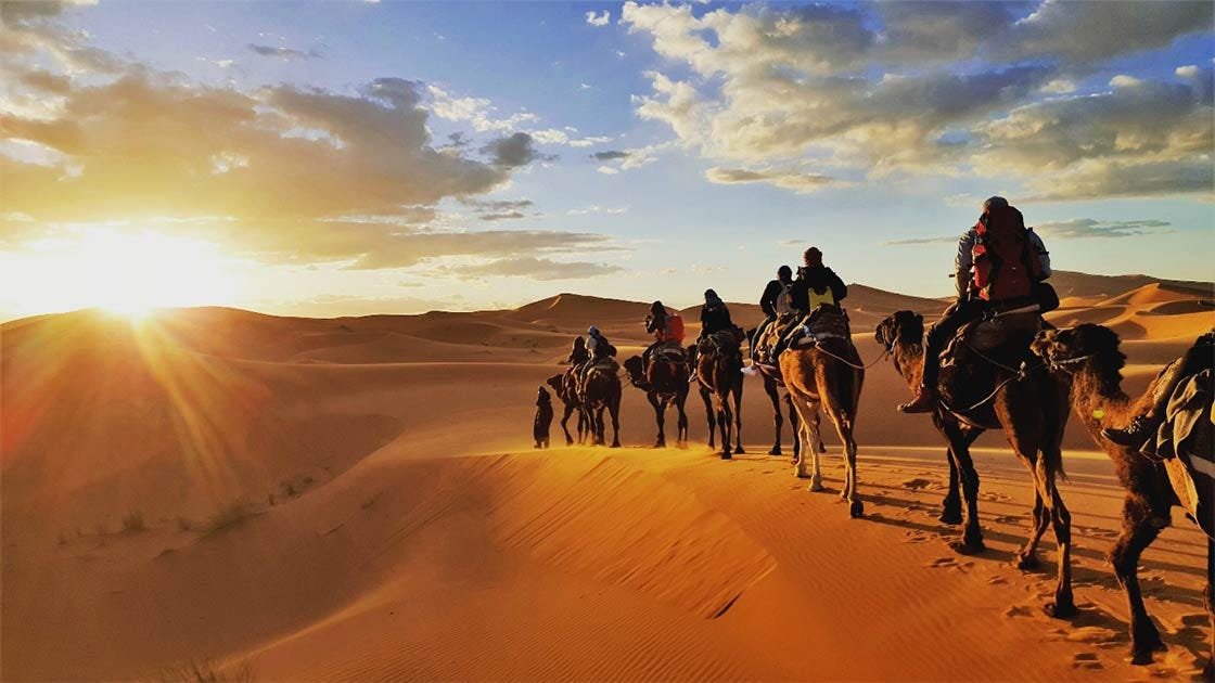 Much of the Radhanites' overland trade between Tangier and Mesopotamia was by camel. Source: Gaper / Adobe Stock