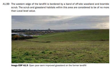 A green field with a river and a city in the background

AI-generated content may be incorrect.
