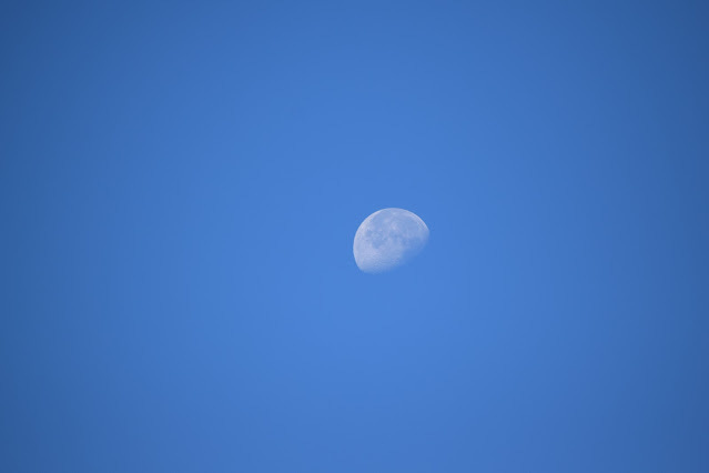Waning, slightly gibbous moon in bright blue sky: it hangs like a bowl tipped at an angle, pouring out blue on the autumn morning.