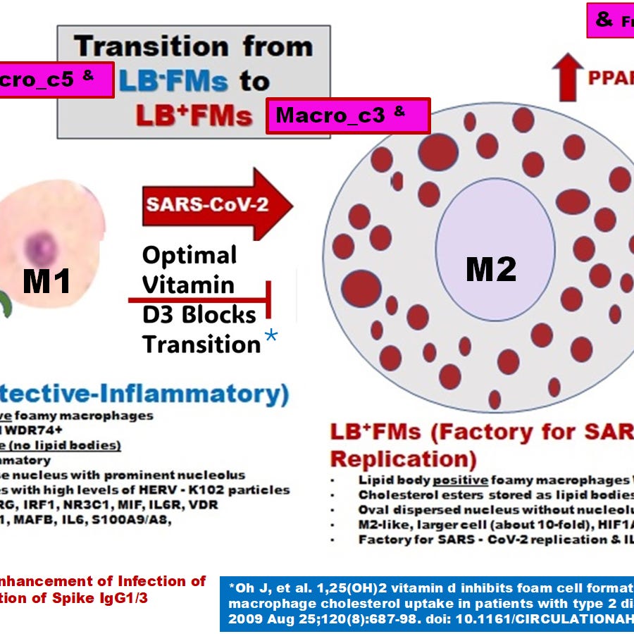 HERV-K102 and Pandemic Responses