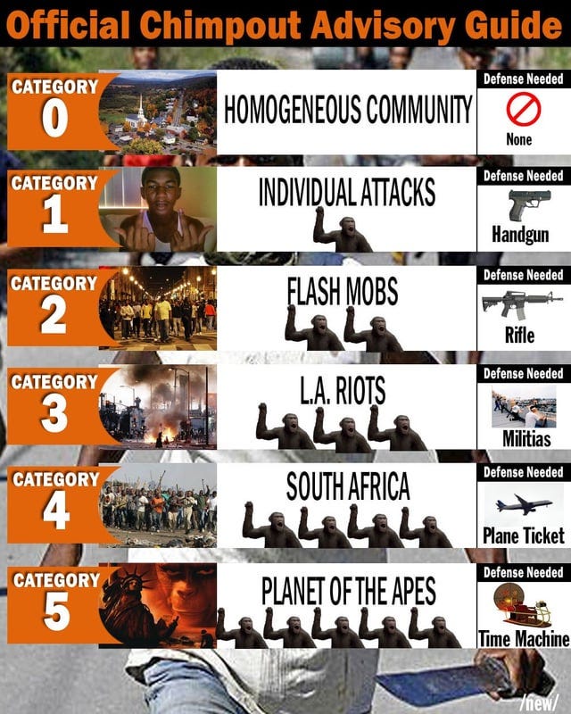 r/firstworldanarchists - Official Chimpout Advisory Guide
