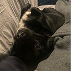 Tick-Tock: Media reporting on First Brands, BDO, Apollo, and Deloitte