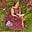 Nikki Braziel's avatar