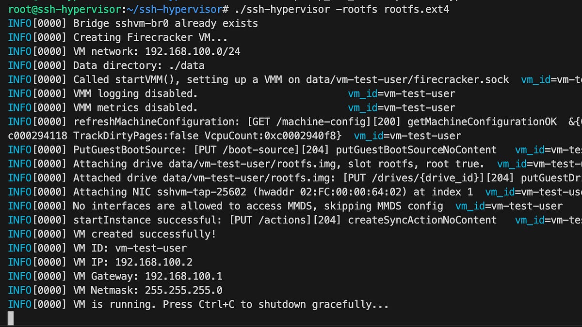 ssh-hypervisor: "SimCity for VMs"