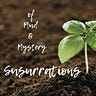 Of Mud & Mystery