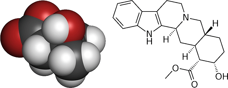 Yohimbine vs HMB Yohimbine vs HMB