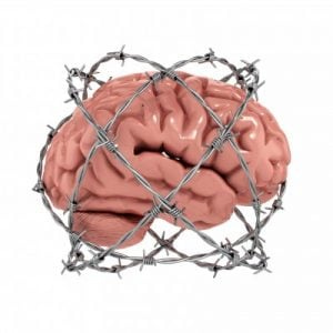 a fake brain inside a wire cage