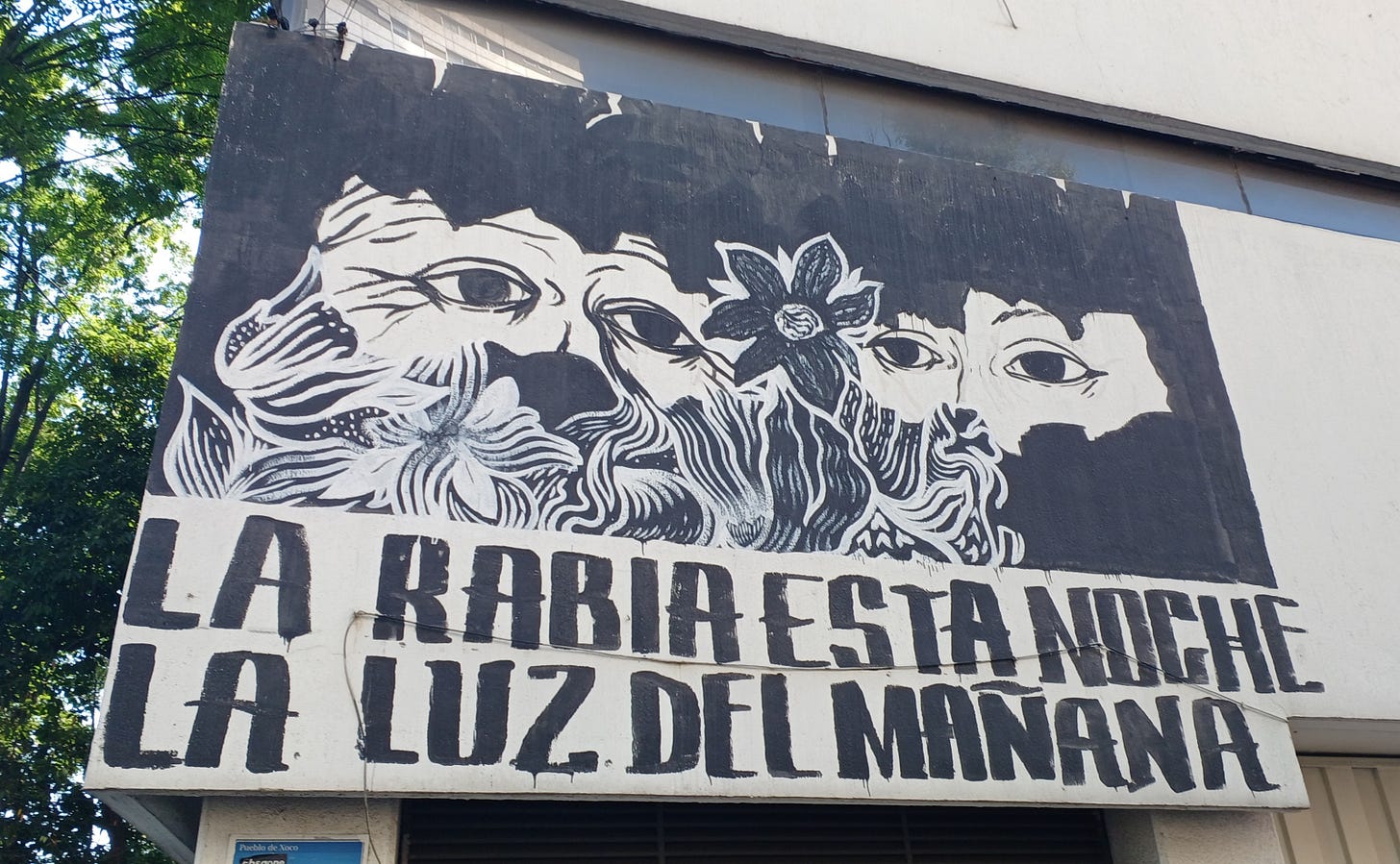 Un’opera di street art in bianco e nero: nella parte alta il viso di due persone circondato da sagome floreali; sotto la scritta “La rabia esta noche, la luz del mañana”. 