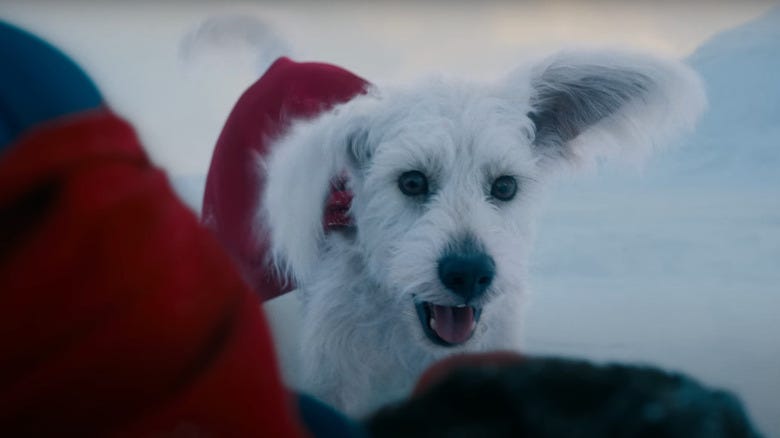 James Gunn's Superman Trailer Reveals Krypto The Superdog