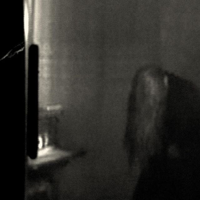 Ethel Cain releases official cover art for “Perverts” : r/popheads