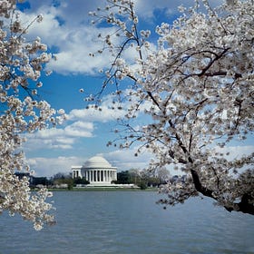 Choppy Trends Belie Persistent Low-Hire, Low-Fire Job Market