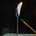 Katherine Walker's avatar