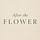 After the Flower