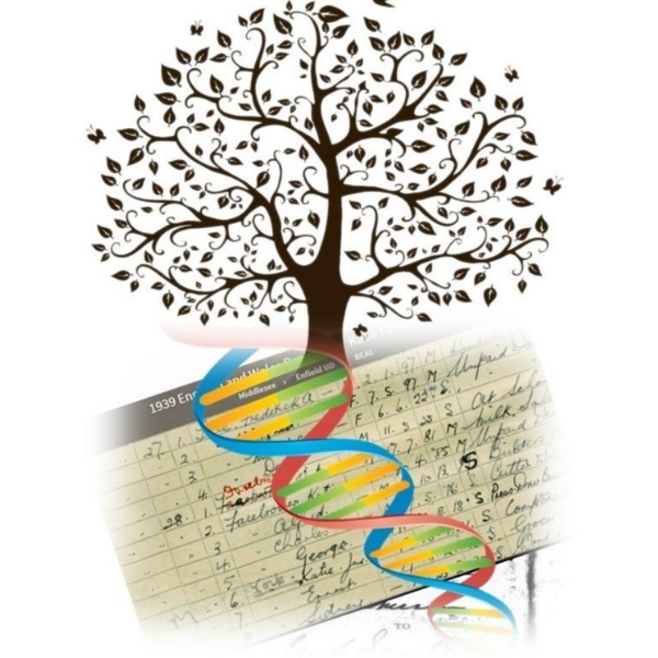 BJNL's Genealogy