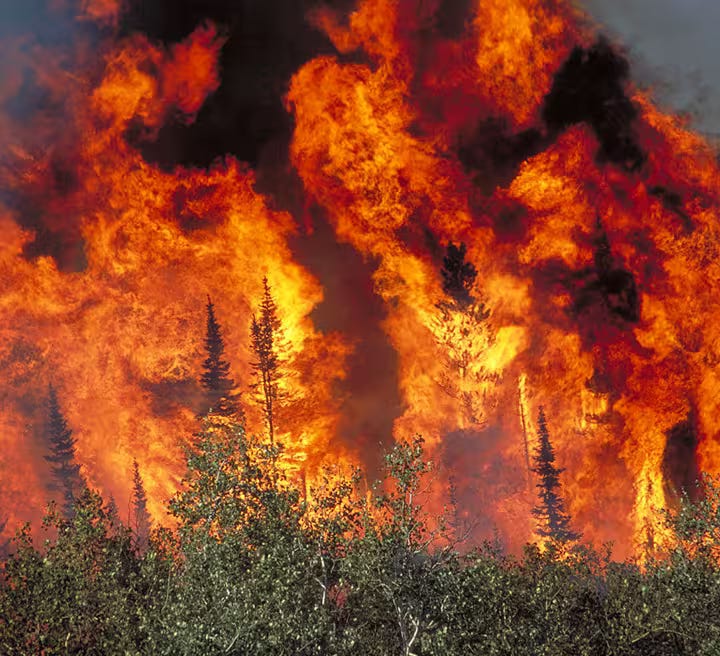 Wildfire & Emergency Community Resources. Image courtesy of Kari Greer Photography.
