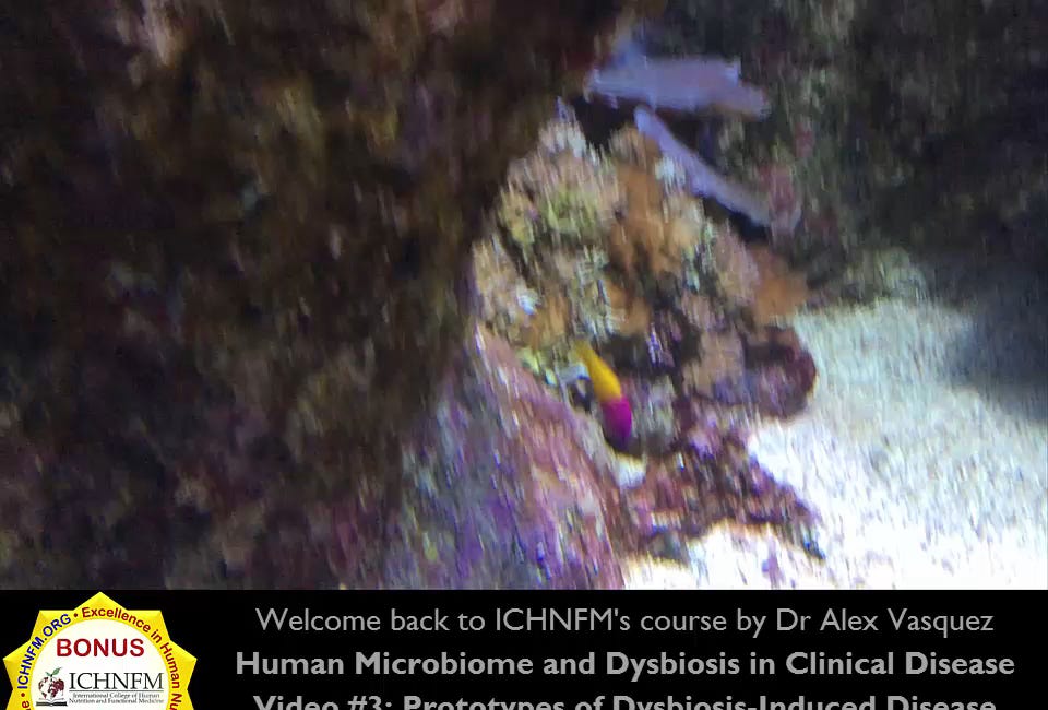 Fibromyalgia as a Prototype of Dysbiosis