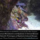 Fibromyalgia as a Prototype of Dysbiosis
