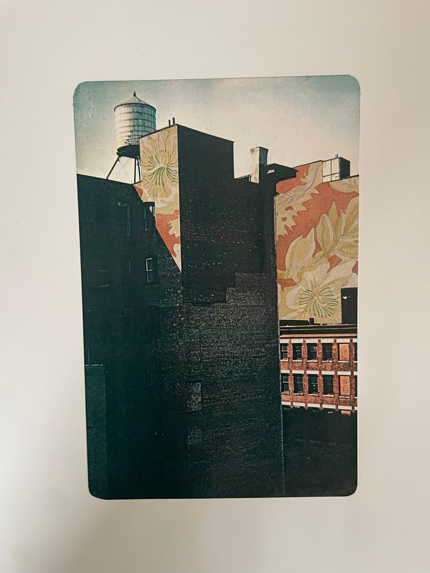 A cityscape of brick buildings with sunlight on floral murals featuring exploded vintage wallpaper designs; a water tower looms above the rooftops.