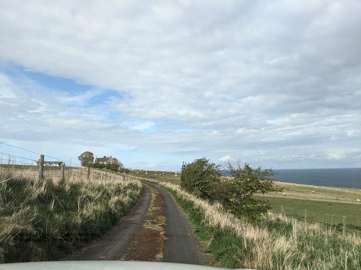 Scenes from my walk in The Borders, Scotland, in April 2021.