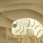 How to Survive an Attack of Sea Lice Inside Your Swimsuit