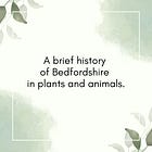 A brief history of Bedfordshire in plants and animals