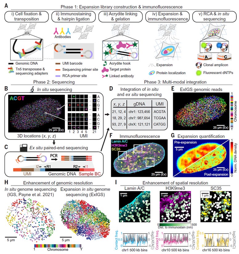 A poster of a scientific experiment

AI-generated content may be incorrect.
