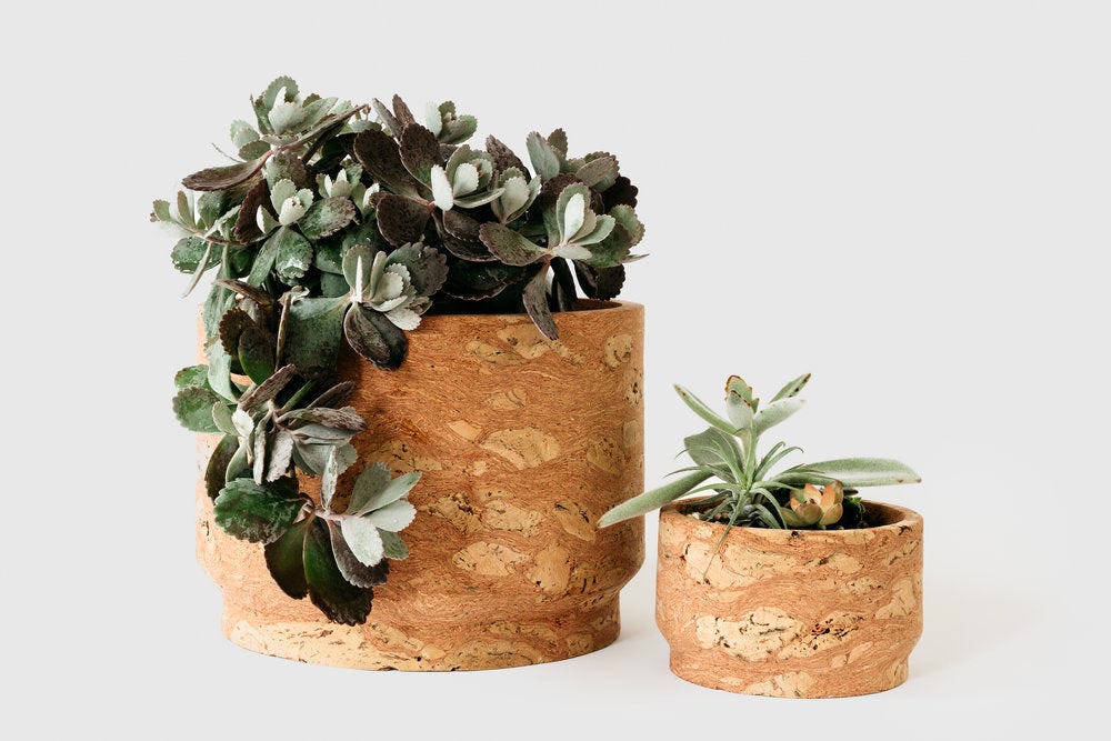 Cork Design Cork Design