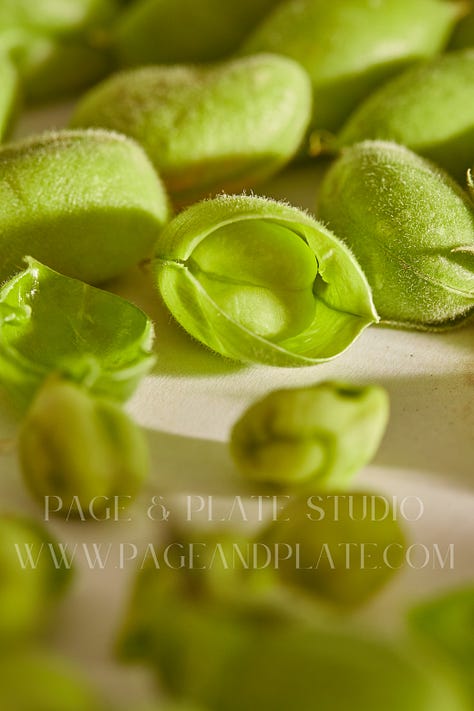 macro photography food photography