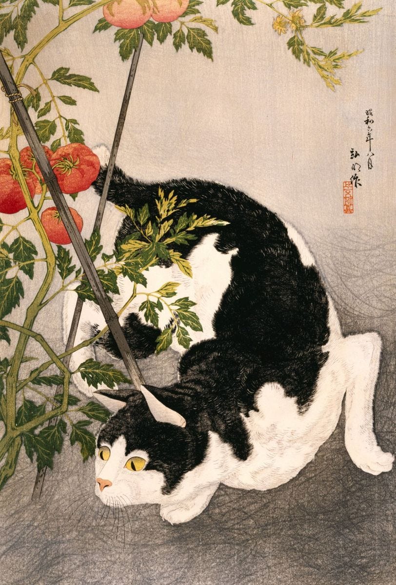 Artwork Title: Black Cat and Tomato Plant - Artist Name: Takahashi Hiroaki