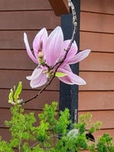 Envy, Forgiveness, and Grace: Learning from Joseph and Jesus Envy, Forgiveness, and Grace: Learning from Joseph and Jesus