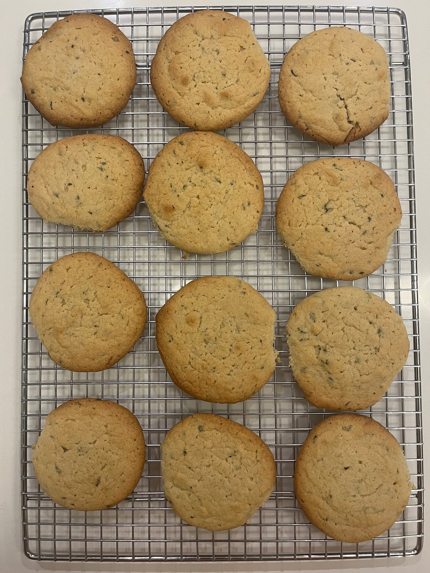 Twelve tarragon sugar cookies arranged in a grid on a cooking rack against a white countertop background.