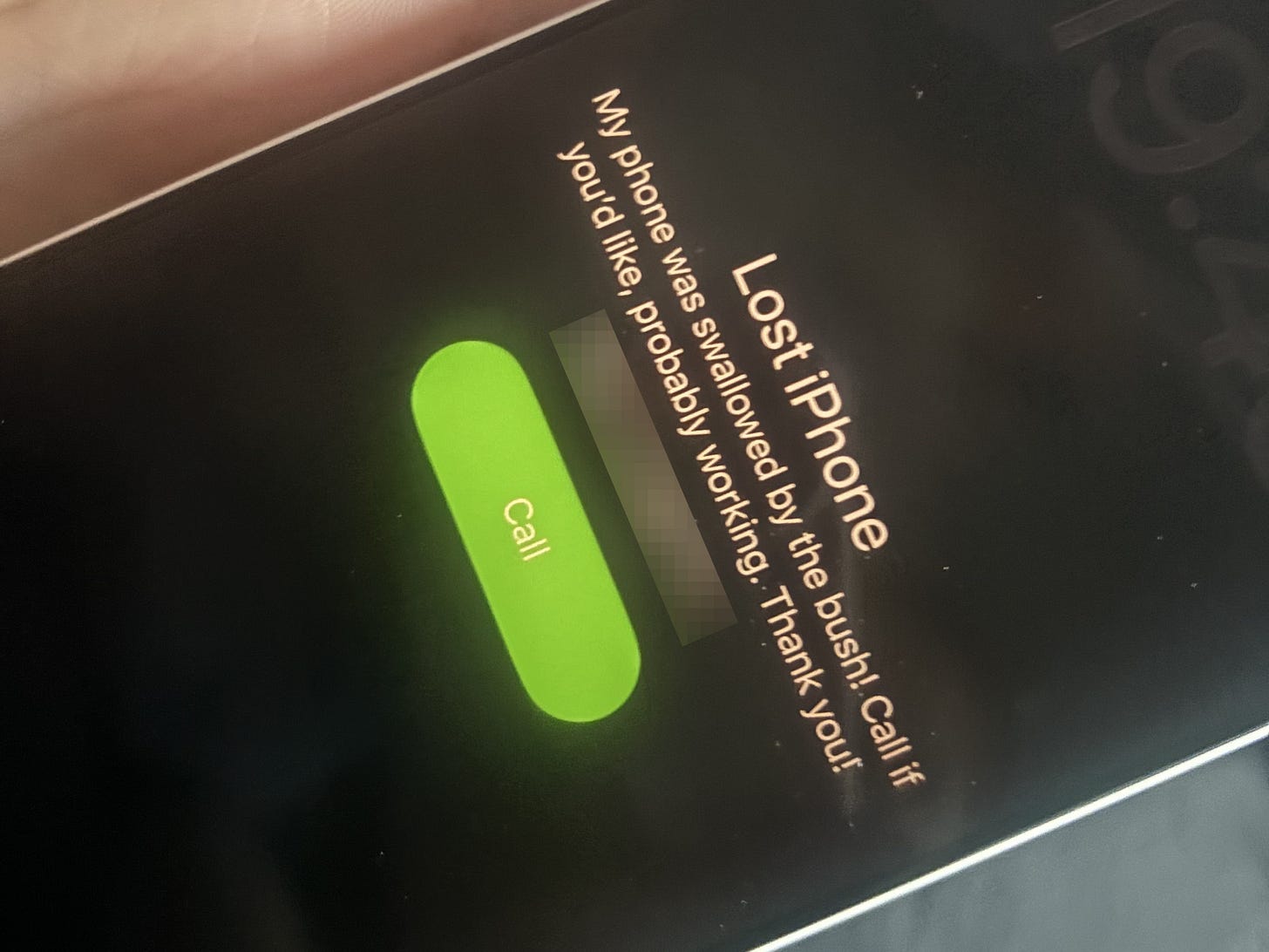 iPhone Lost Mode screen with a custom message reading "My phone was swallowed by the bush!" Green call button below. iPhone Lost Mode screen with a custom message reading "My phone was swallowed by the bush!" Green call button below.