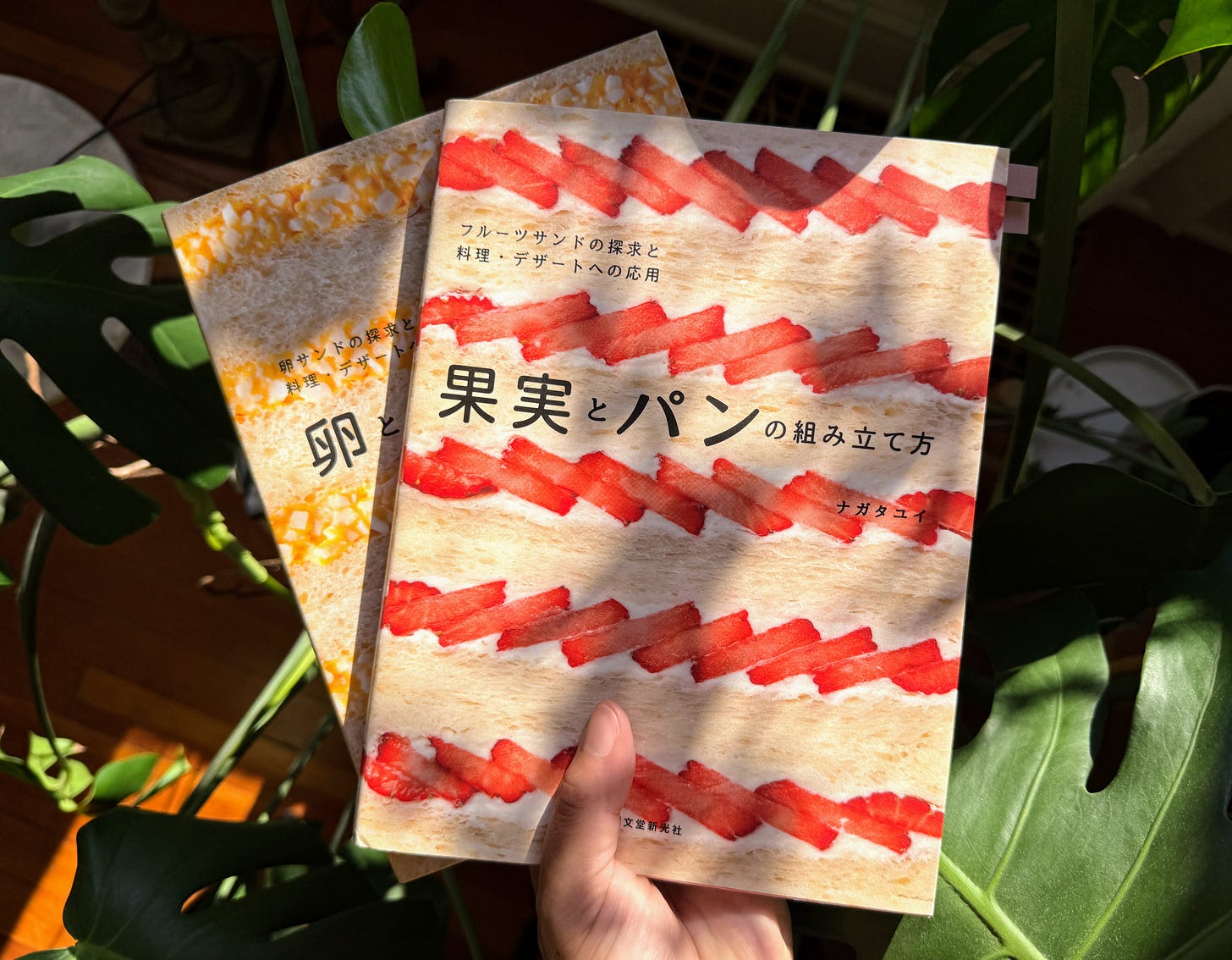 Hand holding sandwich books buy Yui Nagata
