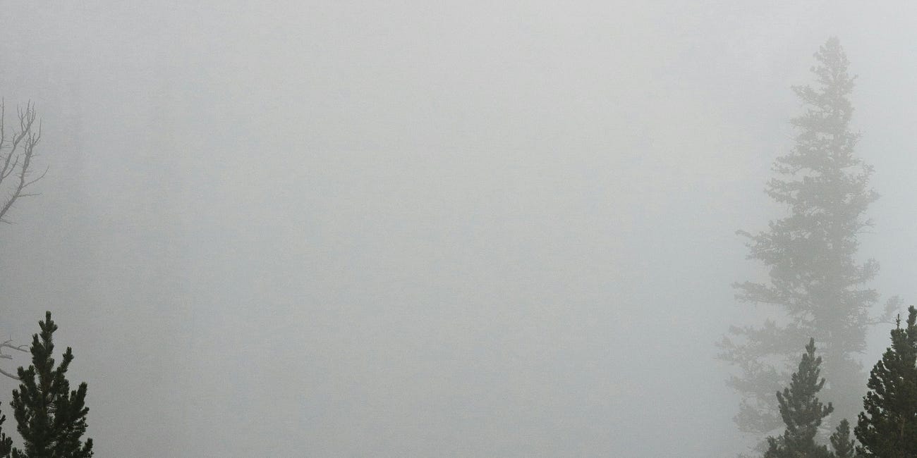 The New Road to Serfdom