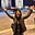 Jen B. Wang's avatar