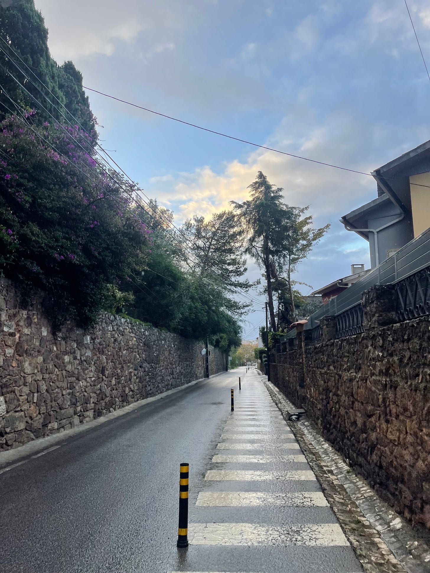 IMG_5960.jpeg