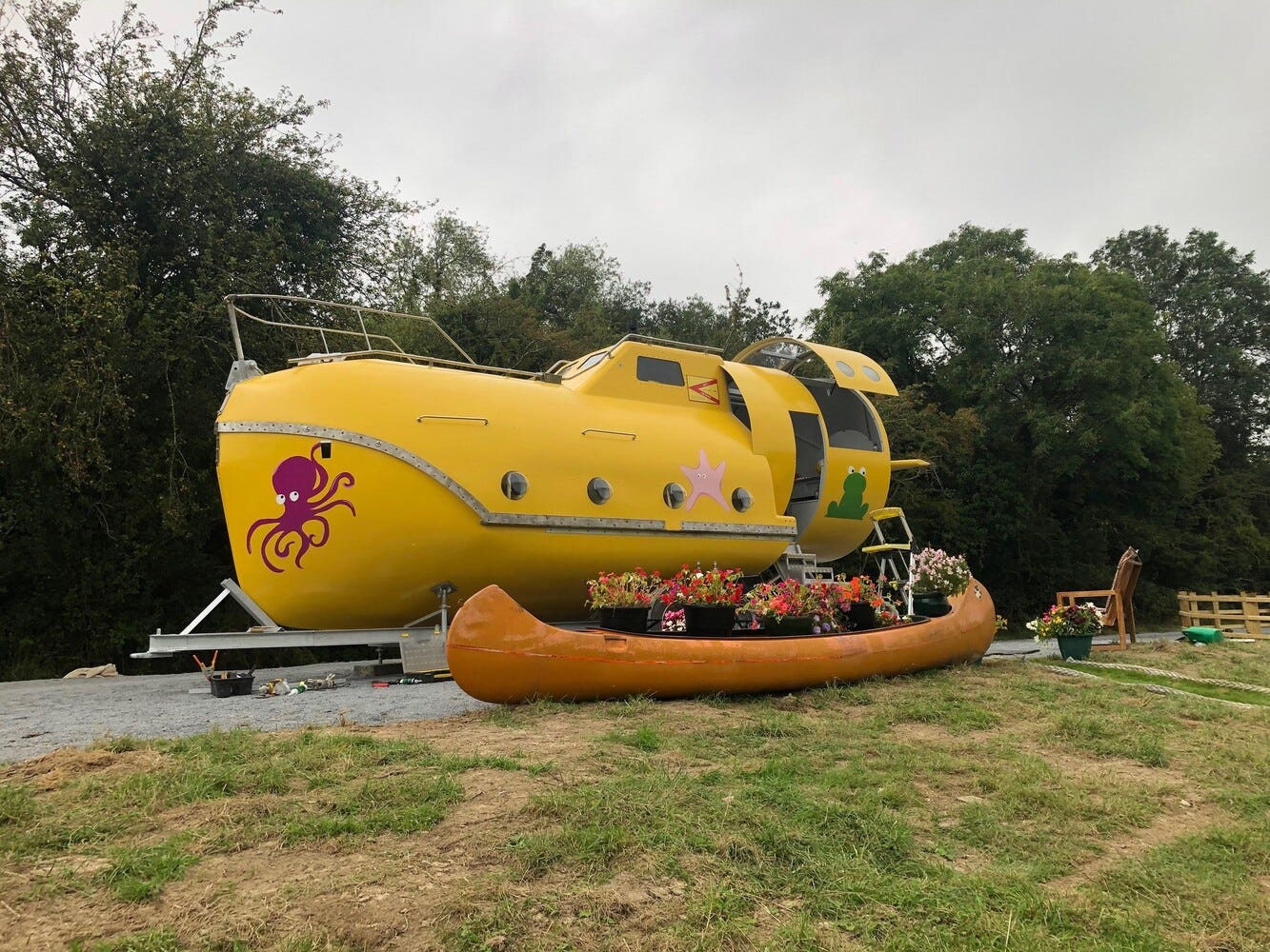 No alt text provided for this image