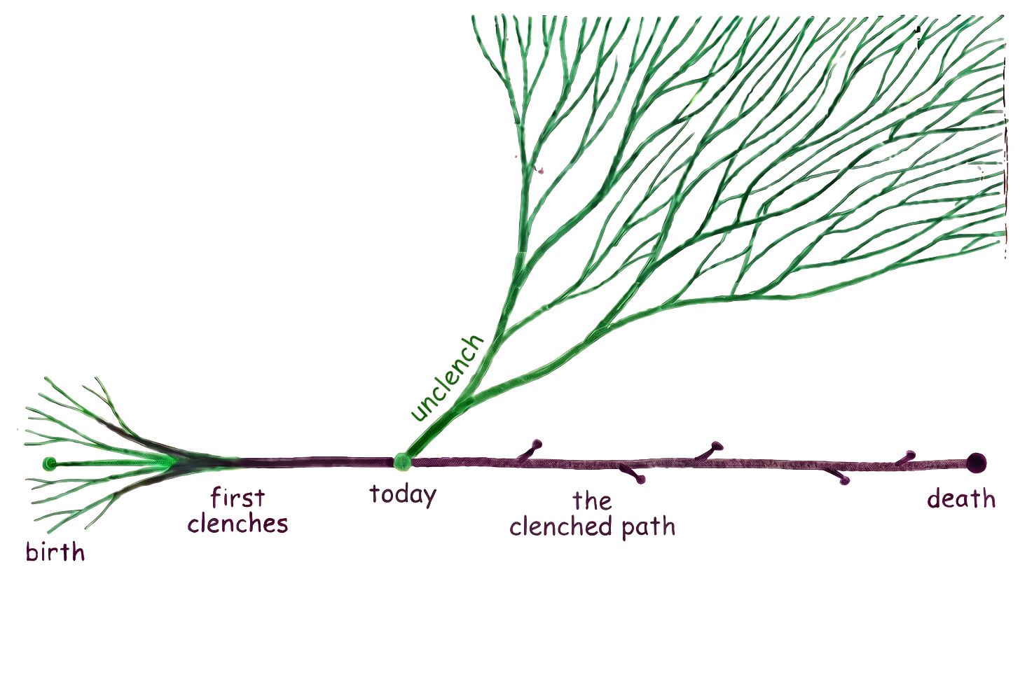 A hand-drawn timeline where the clenched path stays narrow while unclenching branches into many possible paths A hand-drawn timeline where the clenched path stays narrow while unclenching branches into many possible paths