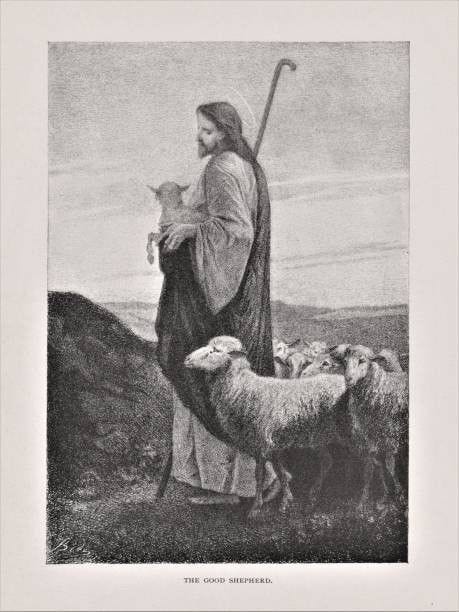 This may contain: an old black and white drawing of jesus holding a lamb with sheep in the background