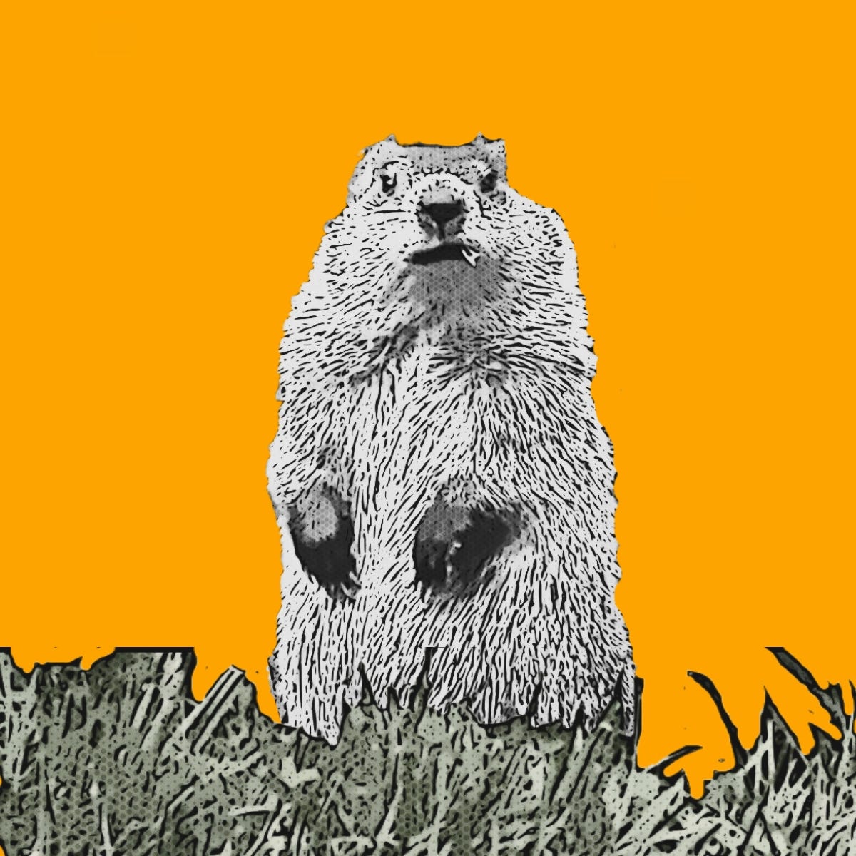 A groundhog.