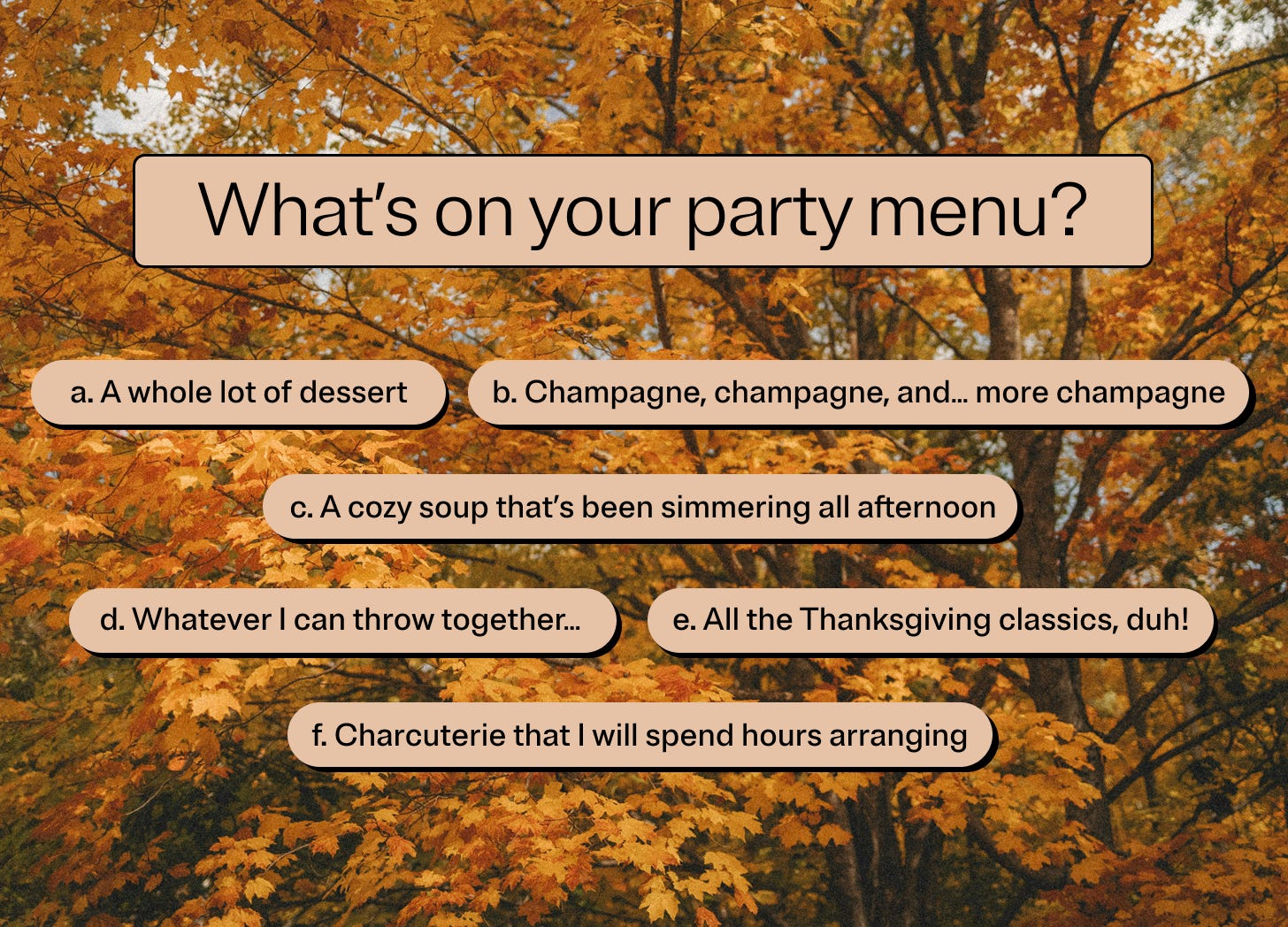 What’s on your party menu? a. A whole lot of dessert  b. Champagne, champagne, and… more champagne c. A cozy soup that’s been simmering all afternoon   d. Whatever I can throw together…  e. All the Thanksgiving classics, duh!  f. Charcuterie that I will spend hours arranging 