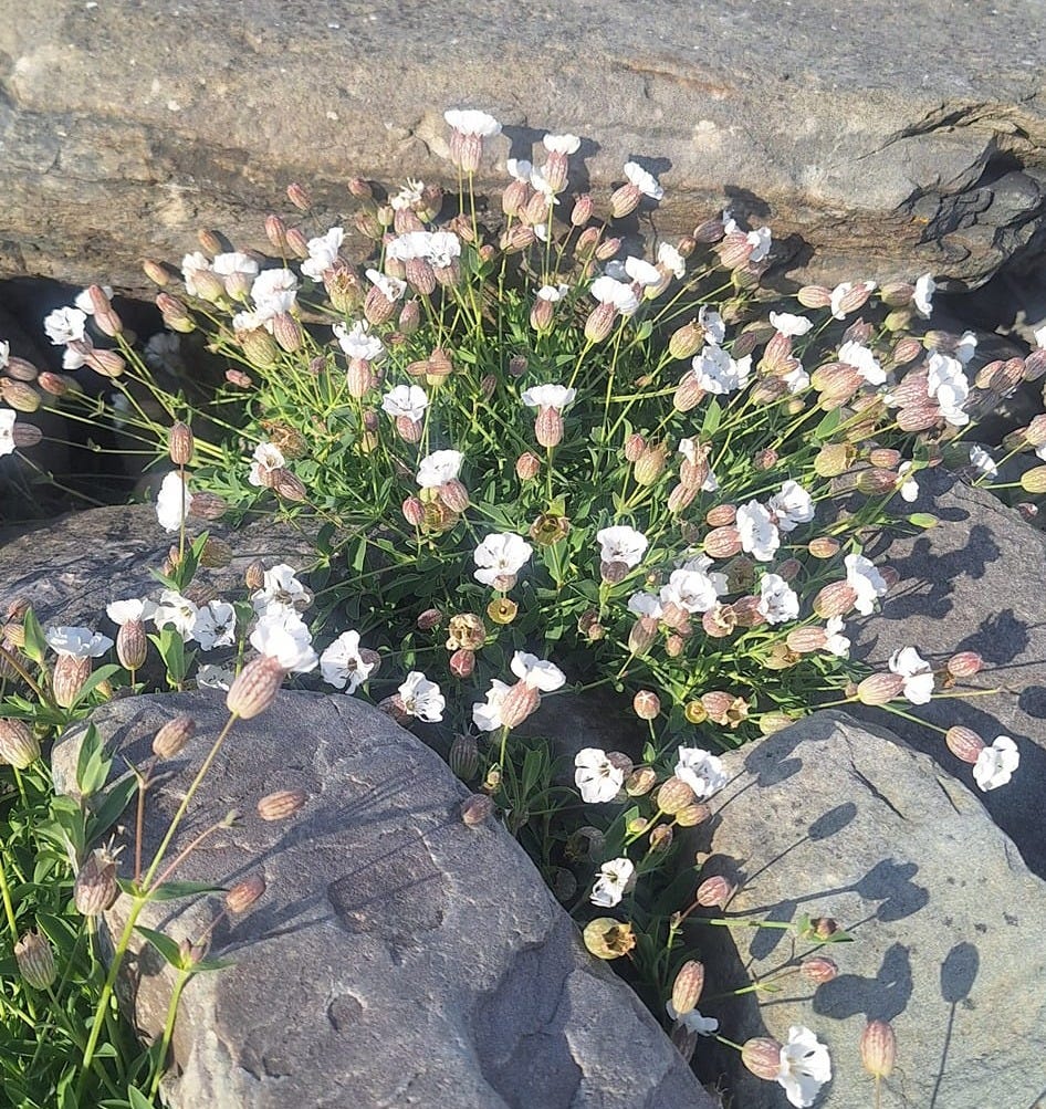 No photo description available.