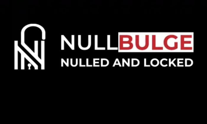 Hackers claim Disney data theft in protest against AI-generated artwork | Hacking | The Guardian Hackers claim Disney data theft in protest against AI-generated artwork | Hacking | The Guardian