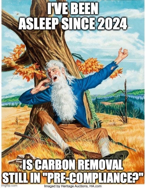Rip Van Winkle stretching awake under a tree after a long sleep, captioned "I've been asleep since 2024. Is carbon removal still in 'pre-compliance'?"
