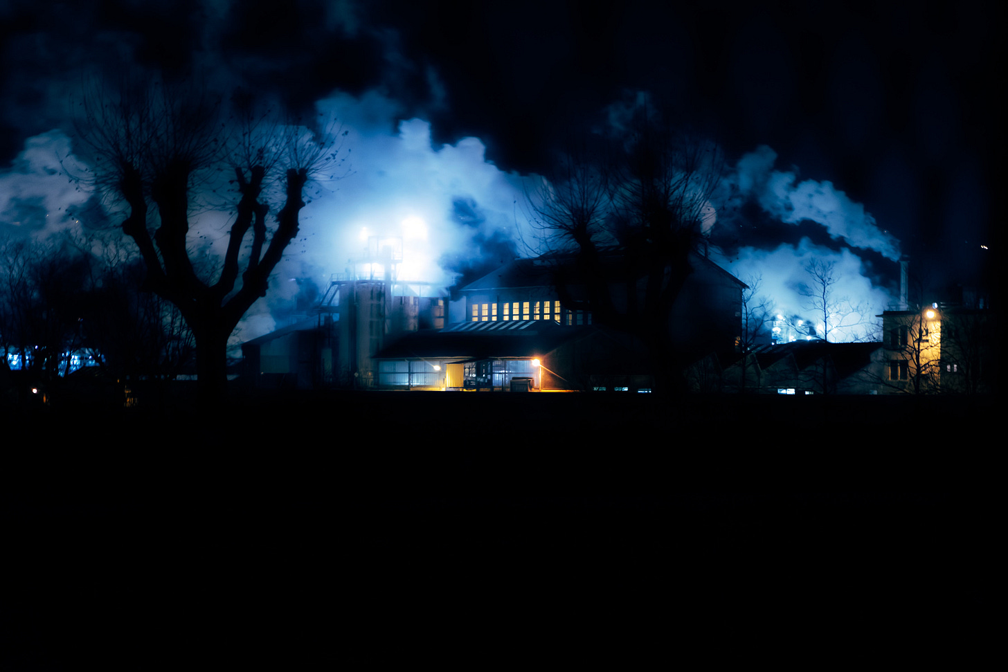 In the mi(d)st of the night. Photo by Simon Grass.