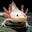 Aly Pal's avatar